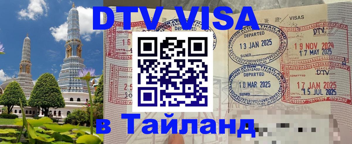 Сколько стоит DTV виза — актуальные цены, оформление даже без документов - Эль-Кувейт  08.01.2026 